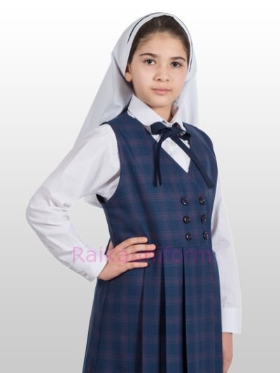 مدل درسا