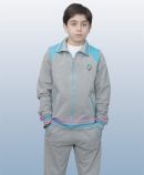 مدل آرامیس