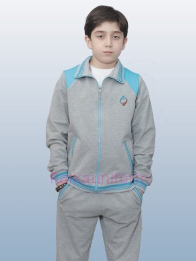 مدل آرامیس